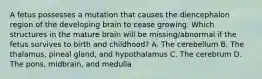 A fetus possesses a mutation that causes the diencephalon region of the developing brain to cease growing. Which structures in the mature brain will be missing/abnormal if the fetus survives to birth and childhood? A. The cerebellum B. The thalamus, pineal gland, and hypothalamus C. The cerebrum D. The pons, midbrain, and medulla