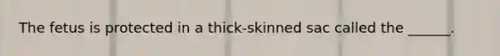 The fetus is protected in a thick-skinned sac called the ______.