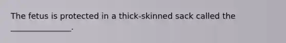 The fetus is protected in a thick-skinned sack called the _______________.