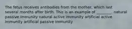 The fetus receives antibodies from the mother, which last several months after birth. This is an example of ________. natural passive immunity natural active immunity artificial active immunity artificial passive immunity