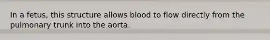 In a fetus, this structure allows blood to flow directly from the pulmonary trunk into the aorta.