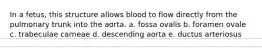 In a fetus, this structure allows blood to flow directly from the pulmonary trunk into the aorta. a. fossa ovalis b. foramen ovale c. trabeculae carneae d. descending aorta e. ductus arteriosus