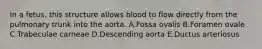 In a fetus, this structure allows blood to flow directly from the pulmonary trunk into the aorta. A.Fossa ovalis B.Foramen ovale C.Trabeculae carneae D.Descending aorta E.Ductus arteriosus