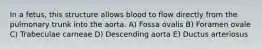 In a fetus, this structure allows blood to flow directly from the pulmonary trunk into the aorta. A) Fossa ovalis B) Foramen ovale C) Trabeculae carneae D) Descending aorta E) Ductus arteriosus