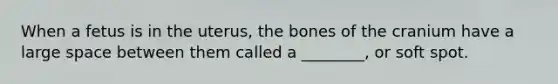 When a fetus is in the uterus, the bones of the cranium have a large space between them called a ________, or soft spot.