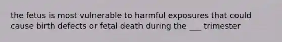 the fetus is most vulnerable to harmful exposures that could cause birth defects or fetal death during the ___ trimester