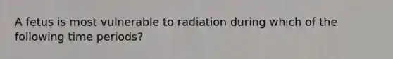 A fetus is most vulnerable to radiation during which of the following time periods?