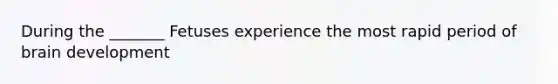 During the _______ Fetuses experience the most rapid period of brain development