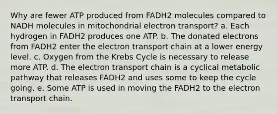 Why are fewer ATP produced from FADH2 molecules compared to NADH molecules in mitochondrial electron transport? a. Each hydrogen in FADH2 produces one ATP. b. The donated electrons from FADH2 enter the electron transport chain at a lower energy level. c. Oxygen from the Krebs Cycle is necessary to release more ATP. d. The electron transport chain is a cyclical metabolic pathway that releases FADH2 and uses some to keep the cycle going. e. Some ATP is used in moving the FADH2 to the electron transport chain.