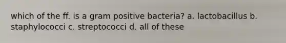 which of the ff. is a gram positive bacteria? a. lactobacillus b. staphylococci c. streptococci d. all of these