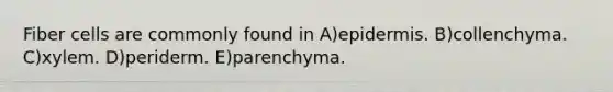 Fiber cells are commonly found in A)epidermis. B)collenchyma. C)xylem. D)periderm. E)parenchyma.