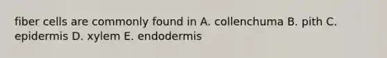 fiber cells are commonly found in A. collenchuma B. pith C. epidermis D. xylem E. endodermis