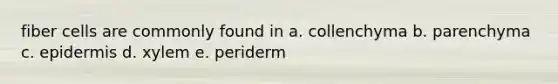 fiber cells are commonly found in a. collenchyma b. parenchyma c. epidermis d. xylem e. periderm