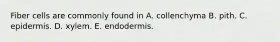 Fiber cells are commonly found in A. collenchyma B. pith. C. epidermis. D. xylem. E. endodermis.