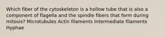 Which fiber of the cytoskeleton is a hollow tube that is also a component of flagella and the spindle fibers that form during mitosis? Microtubules Actin filaments Intermediate filaments Hyphae