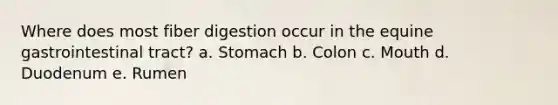 Where does most fiber digestion occur in the equine gastrointestinal tract? a. Stomach b. Colon c. Mouth d. Duodenum e. Rumen