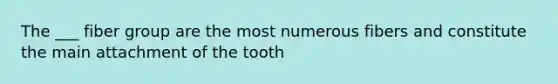 The ___ fiber group are the most numerous fibers and constitute the main attachment of the tooth