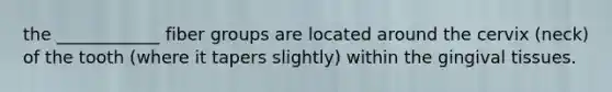 the ____________ fiber groups are located around the cervix (neck) of the tooth (where it tapers slightly) within the gingival tissues.