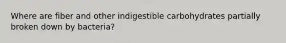 Where are fiber and other indigestible carbohydrates partially broken down by bacteria?