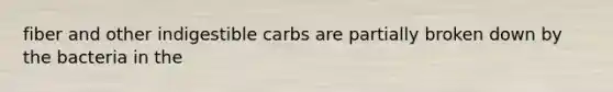 fiber and other indigestible carbs are partially broken down by the bacteria in the