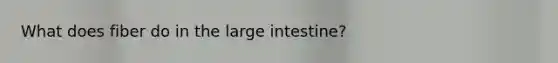 What does fiber do in the large intestine?