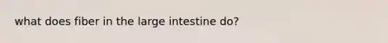 what does fiber in the large intestine do?