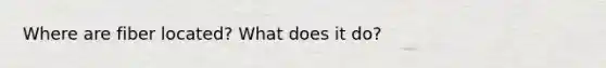 Where are fiber located? What does it do?