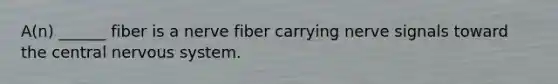 A(n) ______ fiber is a nerve fiber carrying nerve signals toward the central nervous system.