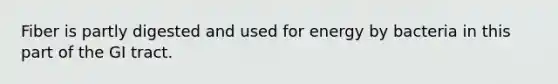 Fiber is partly digested and used for energy by bacteria in this part of the GI tract.