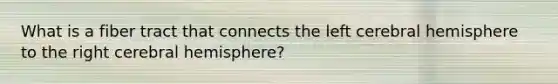 What is a fiber tract that connects the left cerebral hemisphere to the right cerebral hemisphere?