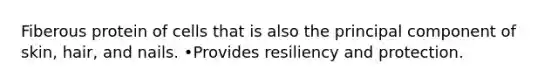 Fiberous protein of cells that is also the principal component of skin, hair, and nails. •Provides resiliency and protection.