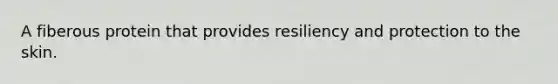 A fiberous protein that provides resiliency and protection to the skin.
