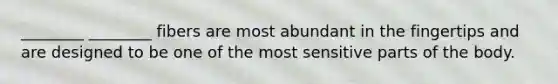 ________ ________ fibers are most abundant in the fingertips and are designed to be one of the most sensitive parts of the body.