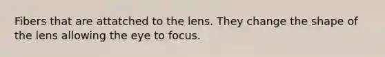 Fibers that are attatched to the lens. They change the shape of the lens allowing the eye to focus.