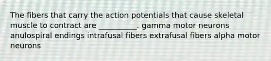 The fibers that carry the action potentials that cause skeletal muscle to contract are __________. gamma motor neurons anulospiral endings intrafusal fibers extrafusal fibers alpha motor neurons