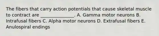 The fibers that carry action potentials that cause skeletal muscle to contract are _______________. A. Gamma motor neurons B. Intrafusal fibers C. Alpha motor neurons D. Extrafusal fibers E. Anulospiral endings