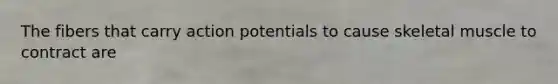 The fibers that carry action potentials to cause skeletal muscle to contract are