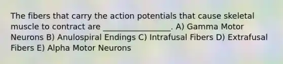 The fibers that carry the action potentials that cause skeletal muscle to contract are _________________. A) Gamma Motor Neurons B) Anulospiral Endings C) Intrafusal Fibers D) Extrafusal Fibers E) Alpha Motor Neurons