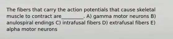 The fibers that carry the action potentials that cause skeletal muscle to contract are_________. A) gamma motor neurons B) anulospiral endings C) intrafusal fibers D) extrafusal fibers E) alpha motor neurons