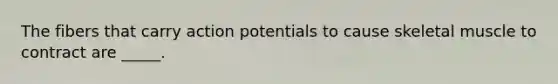 The fibers that carry action potentials to cause skeletal muscle to contract are _____.