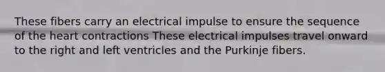 These fibers carry an electrical impulse to ensure the sequence of <a href='https://www.questionai.com/knowledge/kya8ocqc6o-the-heart' class='anchor-knowledge'>the heart</a> contractions These electrical impulses travel onward to the right and left ventricles and the Purkinje fibers.