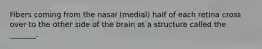 Fibers coming from the nasal (medial) half of each retina cross over to the other side of the brain at a structure called the _______.
