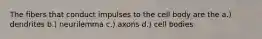 The fibers that conduct impulses to the cell body are the a.) dendrites b.) neurilemma c.) axons d.) cell bodies