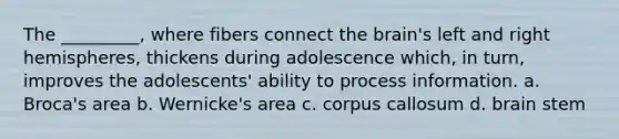 The _________, where fibers connect the brain's left and right hemispheres, thickens during adolescence which, in turn, improves the adolescents' ability to process information. a. Broca's area b. Wernicke's area c. corpus callosum d. brain stem