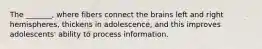 The _______, where fibers connect the brains left and right hemispheres, thickens in adolescence, and this improves adolescents' ability to process information.