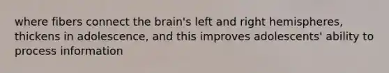 where fibers connect the brain's left and right hemispheres, thickens in adolescence, and this improves adolescents' ability to process information