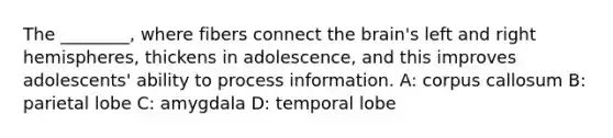 The ________, where fibers connect the brain's left and right hemispheres, thickens in adolescence, and this improves adolescents' ability to process information. A: corpus callosum B: parietal lobe C: amygdala D: temporal lobe