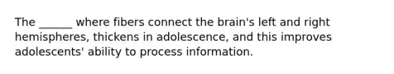 The ______ where fibers connect the brain's left and right hemispheres, thickens in adolescence, and this improves adolescents' ability to process information.