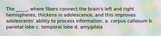 The _____, where fibers connect the brain's left and right hemispheres, thickens in adolescence, and this improves adolescents' ability to process information. a. corpus callosum b. parietal lobe c. temporal lobe d. amygdala