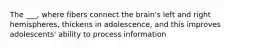 The ___, where fibers connect the brain's left and right hemispheres, thickens in adolescence, and this improves adolescents' ability to process information